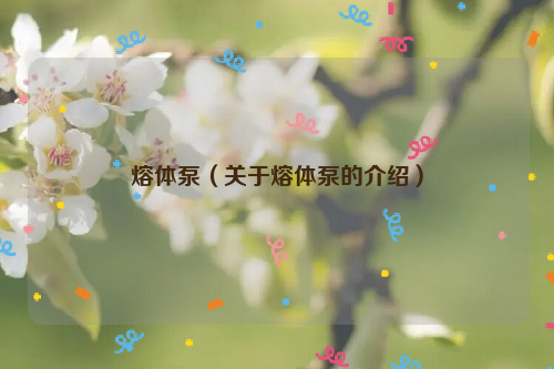 熔体泵（关于熔体泵的介绍）