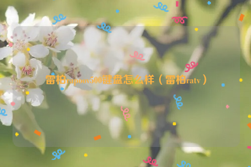 雷柏rapoov500键盘怎么样（雷柏ratv）