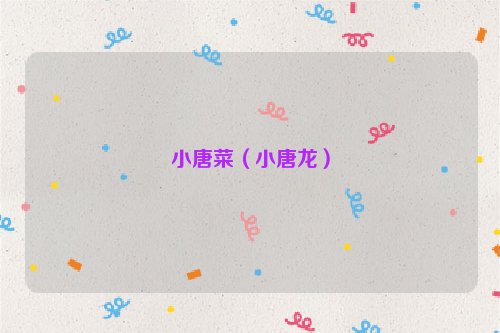小唐菜（小唐龙）