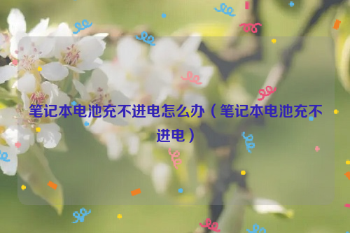 笔记本电池充不进电怎么办（笔记本电池充不进电）