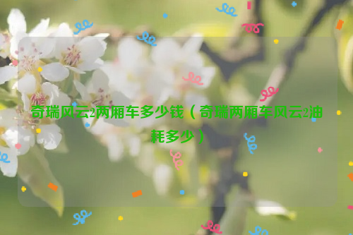 奇瑞风云2两厢车多少钱（奇瑞两厢车风云2油耗多少）