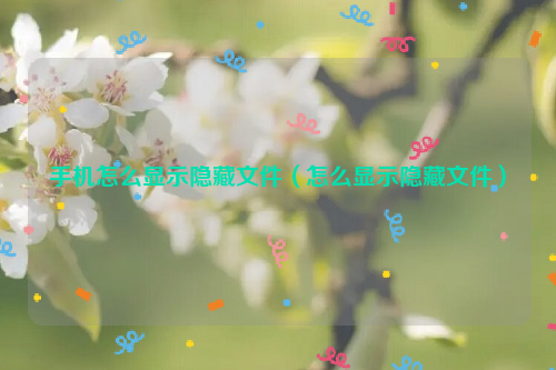 手机怎么显示隐藏文件（怎么显示隐藏文件）