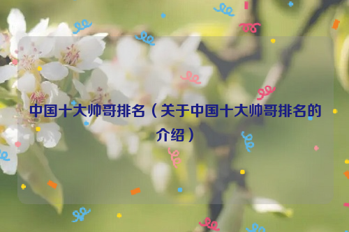中国十大帅哥排名（关于中国十大帅哥排名的介绍）