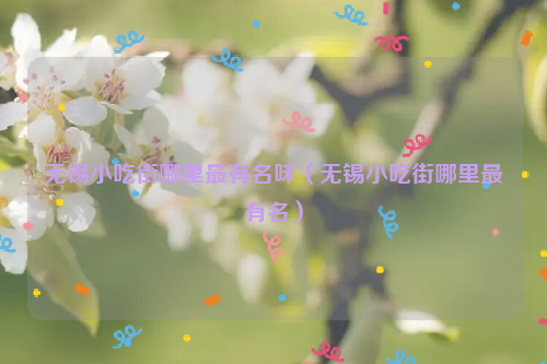 无锡小吃街哪里最有名味（无锡小吃街哪里最有名）