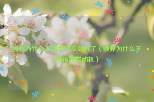 领界为什么不用福特发动机了（领界为什么不用福特发动机）