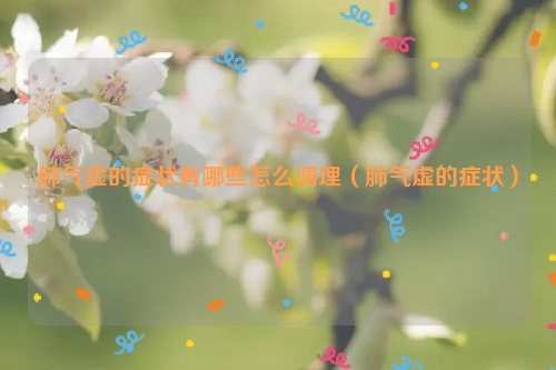 肺气虚的症状有哪些怎么调理（肺气虚的症状）