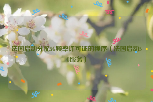 法国启动分配5G频率许可证的程序（法国启动5G服务）