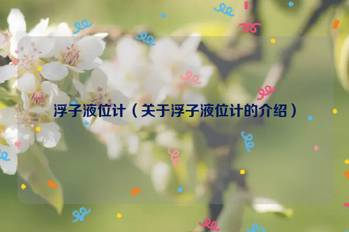 浮子液位计（关于浮子液位计的介绍）