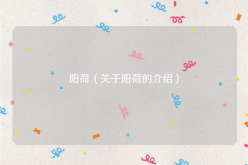 阳荷（关于阳荷的介绍）