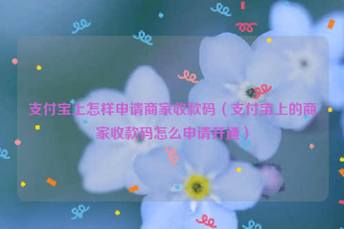 支付宝上怎样申请商家收款码（支付宝上的商家收款码怎么申请开通）