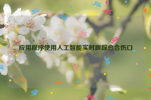 应用程序使用人工智能实时跟踪愈合伤口