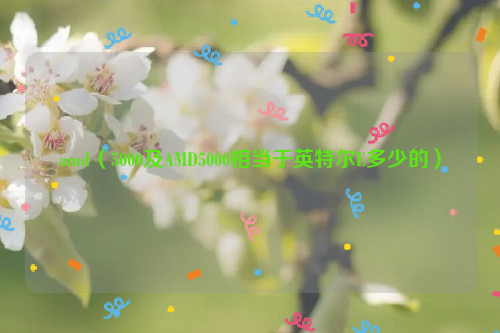 amd（5000及AMD5000相当于英特尔E多少的）