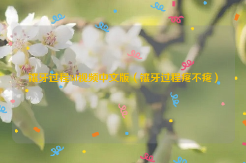 镶牙过程3d视频中文版（镶牙过程疼不疼）
