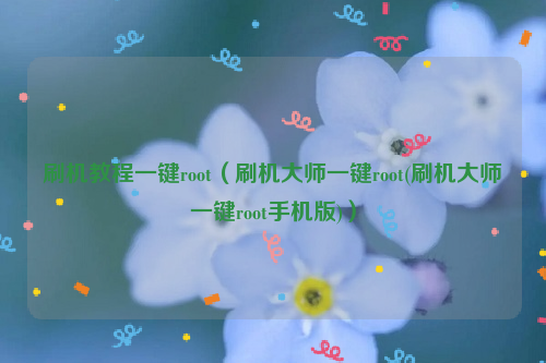 刷机教程一键root（刷机大师一键root(刷机大师一键root手机版)）