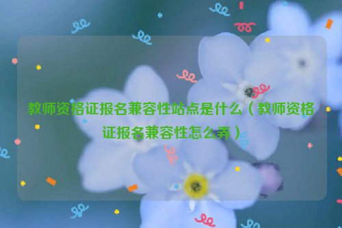 教师资格证报名兼容性站点是什么（教师资格证报名兼容性怎么弄）