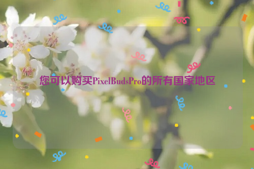 您可以购买PixelBudsPro的所有国家地区