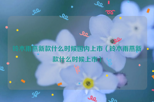 铃木雨燕新款什么时候国内上市（铃木雨燕新款什么时候上市）