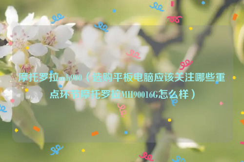 摩托罗拉mh900（选购平板电脑应该关注哪些重点环节摩托罗拉MH90016G怎么样）