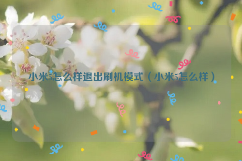 小米5怎么样退出刷机模式（小米5怎么样）
