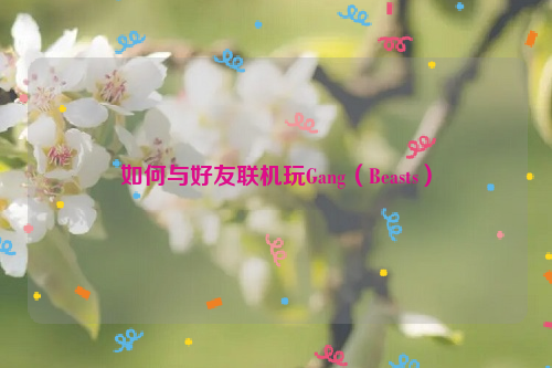 如何与好友联机玩Gang（Beasts）