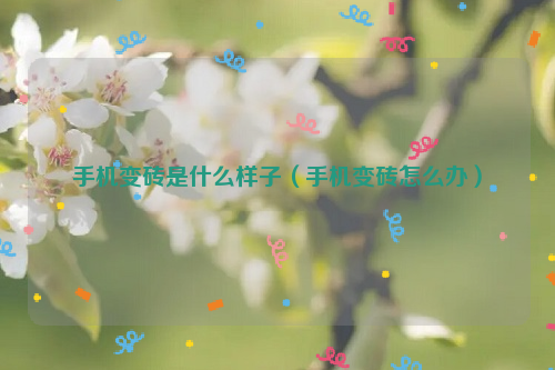 手机变砖是什么样子（手机变砖怎么办）