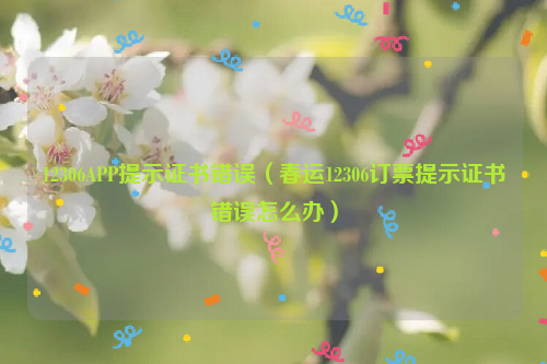 12306APP提示证书错误（春运12306订票提示证书错误怎么办）