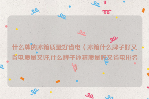 什么牌的冰箱质量好省电（冰箱什么牌子好又省电质量又好,什么牌子冰箱质量好又省电排名）