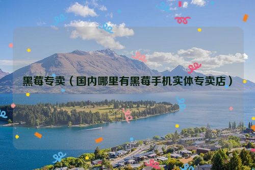 黑莓专卖（国内哪里有黑莓手机实体专卖店）