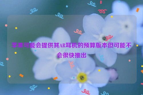 苹果可能会提供其AR耳机的预算版本但可能不会很快推出