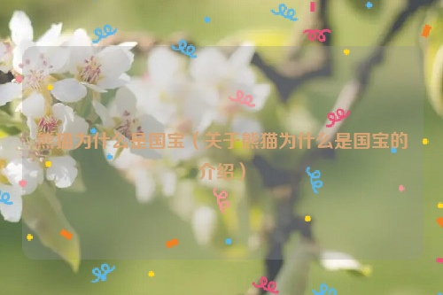 熊猫为什么是国宝（关于熊猫为什么是国宝的介绍）