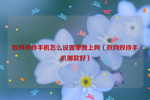 双网双待手机怎么设置单独上网（双网双待手机哪款好）