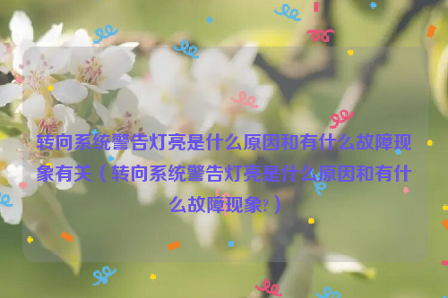 转向系统警告灯亮是什么原因和有什么故障现象有关（转向系统警告灯亮是什么原因和有什么故障现象?）