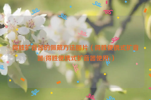 得胜扩音器的佩戴方法图片（得胜便携式扩音器(得胜便携式扩音器使用)）