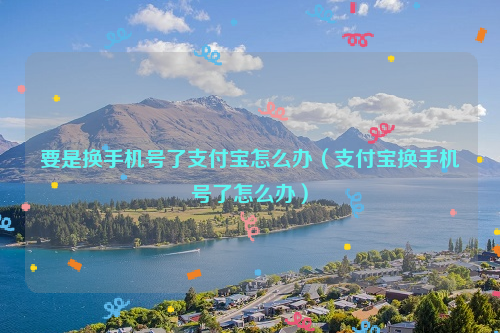 要是换手机号了支付宝怎么办（支付宝换手机号了怎么办）