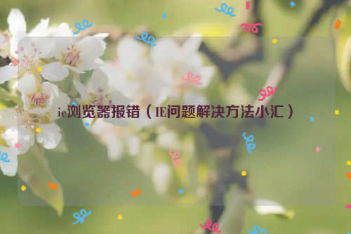 ie浏览器报错（IE问题解决方法小汇）