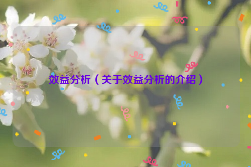 效益分析（关于效益分析的介绍）