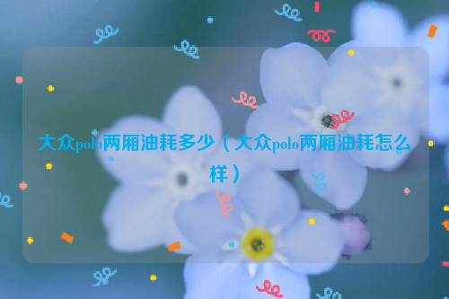 大众polo两厢油耗多少（大众polo两厢油耗怎么样）