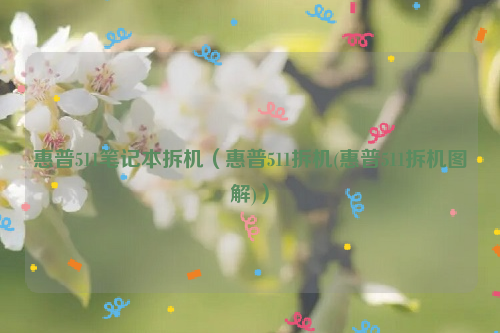 惠普511笔记本拆机（惠普511拆机(惠普511拆机图解)）