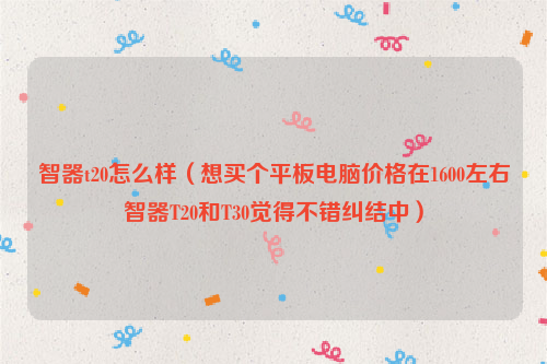 智器t20怎么样（想买个平板电脑价格在1600左右智器T20和T30觉得不错纠结中）