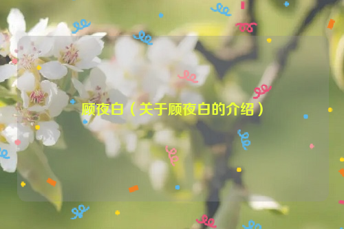 顾夜白（关于顾夜白的介绍）