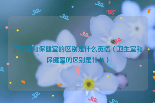 卫生室和保健室的区别是什么英语（卫生室和保健室的区别是什么）