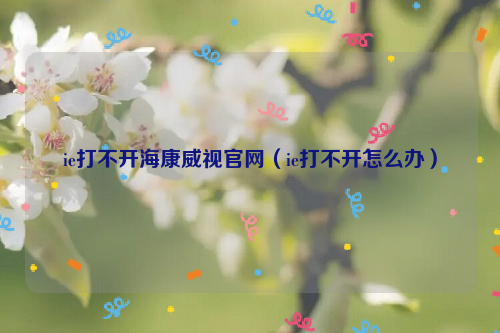 ie打不开海康威视官网（ie打不开怎么办）