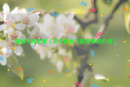 贵州飞机失事（关于贵州飞机失事的介绍）