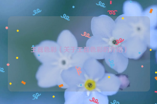 王磊色彩（关于王磊色彩的介绍）