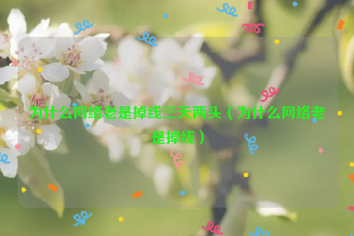 为什么网络老是掉线三天两头（为什么网络老是掉线）