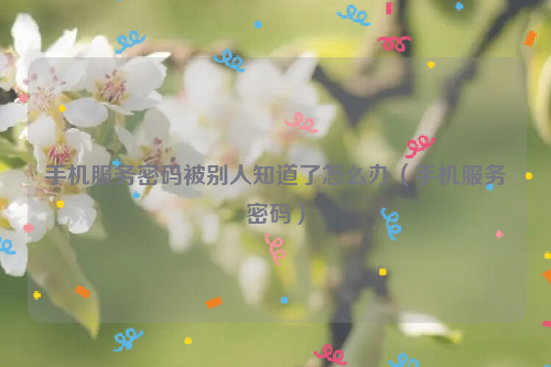 手机服务密码被别人知道了怎么办（手机服务密码）