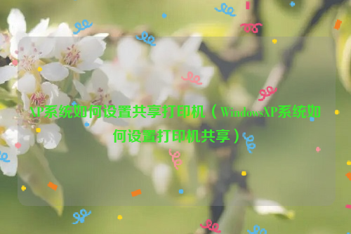 XP系统如何设置共享打印机（WindowsXP系统如何设置打印机共享）
