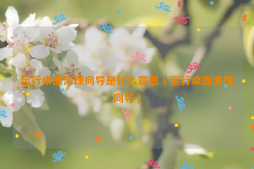 运行桌面清理向导是什么意思（运行桌面清理向导）