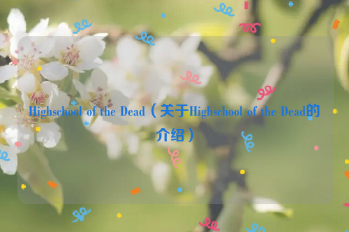 Highschool of the Dead（关于Highschool of the Dead的介绍）
