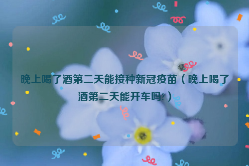 晚上喝了酒第二天能接种新冠疫苗（晚上喝了酒第二天能开车吗?）